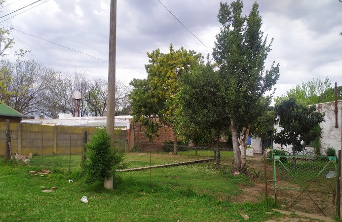 LOTE PEYRANO
