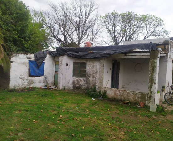 LOTE PEYRANO