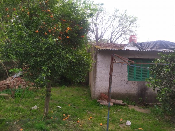 LOTE PEYRANO