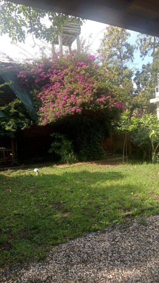 VENDO HERMOSA CABAÑA DE TRONCOS